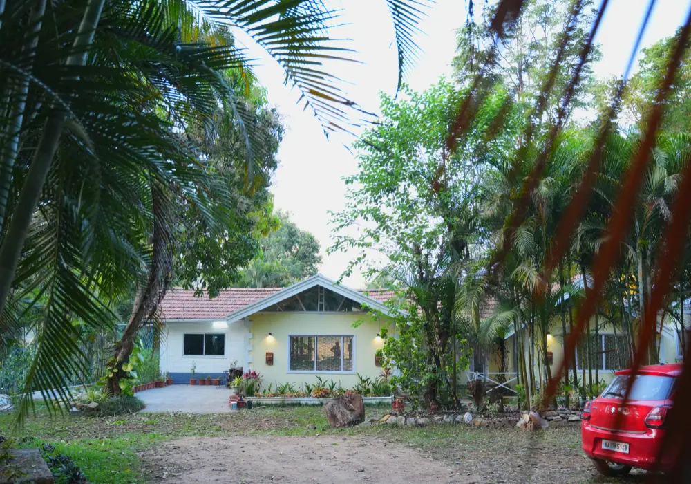 Image 14